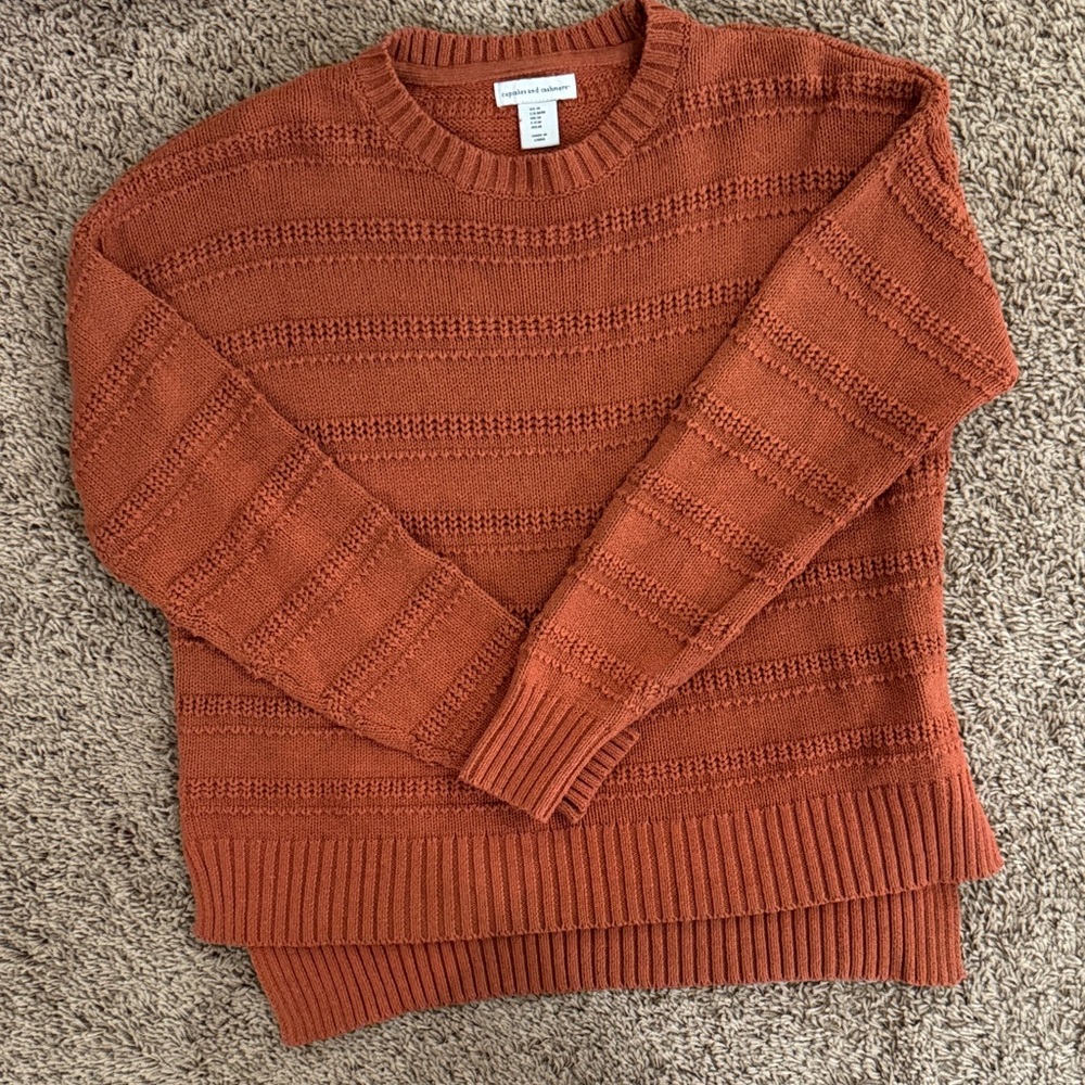 cupcakes & cashmere Rust Crewneck Sweater